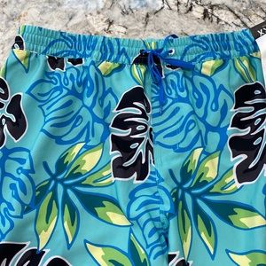 Hurley Mens Bathing Suit — 17” length